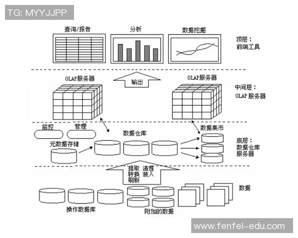 南京飞盘队近期状态分析及表现评估数据解读