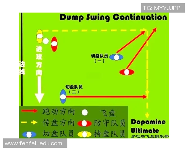 杭州飞盘队意识对比深度解析与战术启示探讨