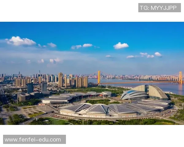 武汉乒乓球队的节奏与风采探秘:从训练到比赛的全景观察 武汉乒乓球队的节奏与风采探秘:从训练到比赛的全景观察